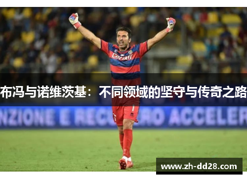 布冯与诺维茨基：不同领域的坚守与传奇之路